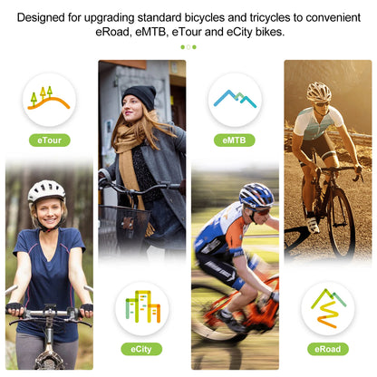 Complete Set Electric Bike Middle Drive eBike Conversion Kit