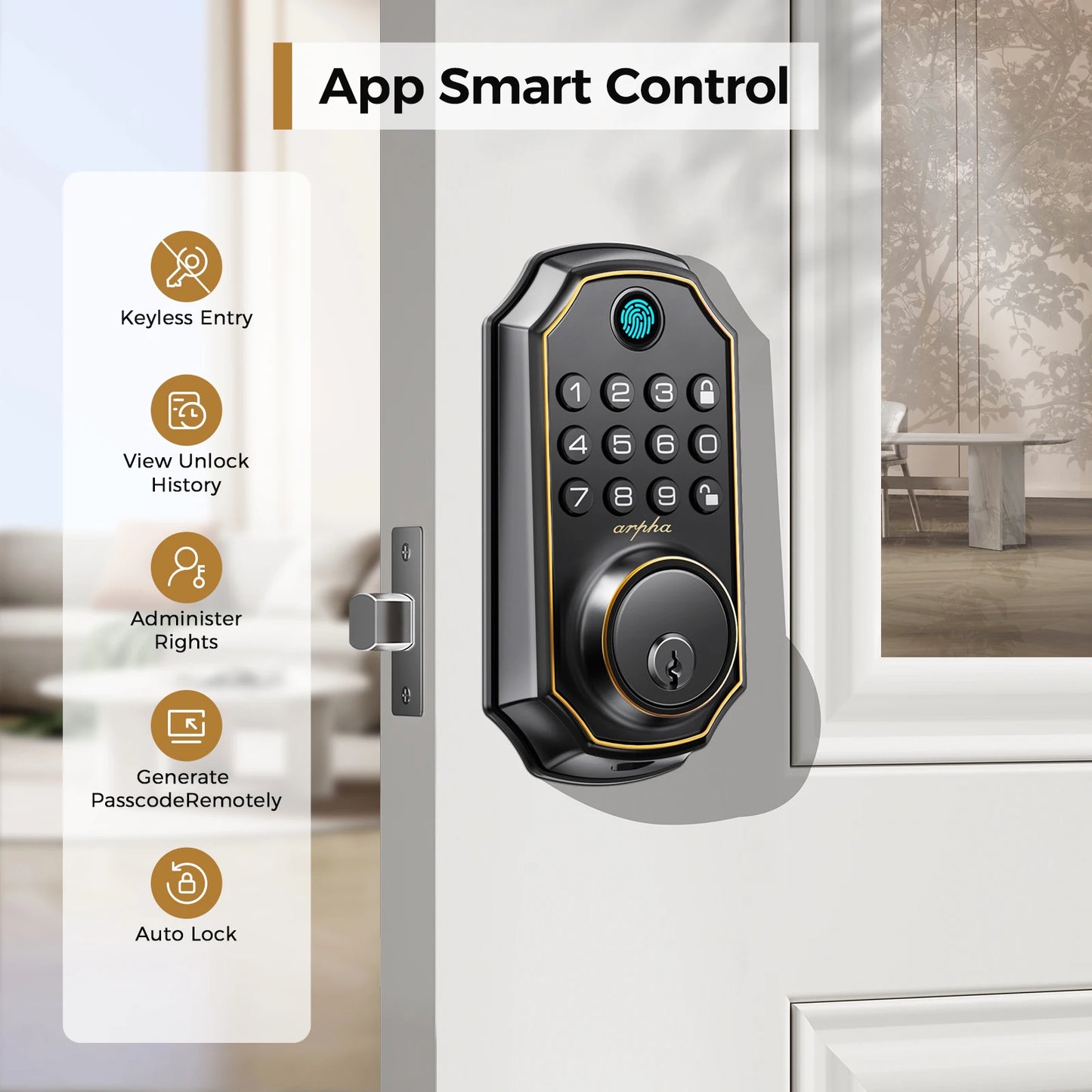 Keyless Entry Door Lock  with Keypad