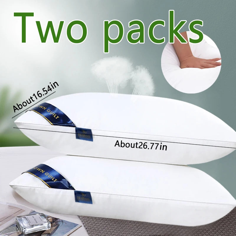Healthy Pillow For Sleeping